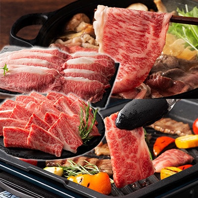 「フジチクオリジナル」ふじ馬刺しと藤彩牛の贅沢食べ比べセット(宇城市)