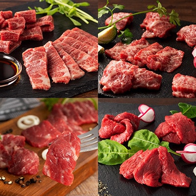 「熊本特産」フジチクオリジナル 特選馬刺しの8種セット(宇城市)