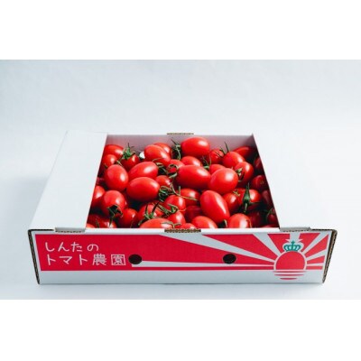 宇城市産フルーツミニトマト アイコ2kg