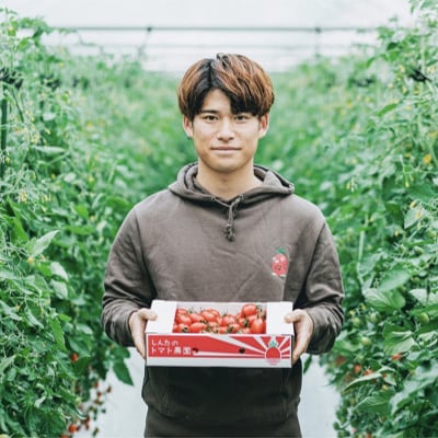 熊本県宇城市不知火町産　アイコミニトマト