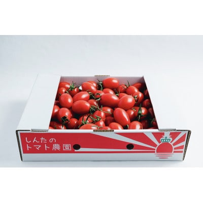 【さとふる限定】熊本県宇城市不知火町産　アイコミニトマト