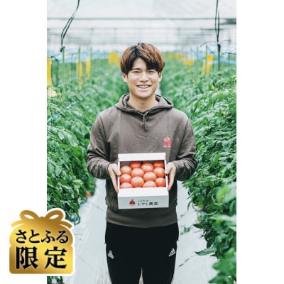 【さとふる限定】熊本県宇城市不知火町産　塩トマト