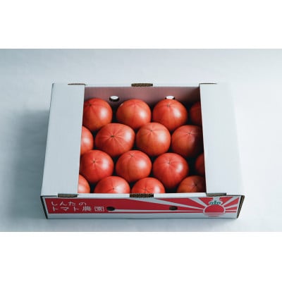 【さとふる限定】熊本県宇城市不知火町産　塩トマト