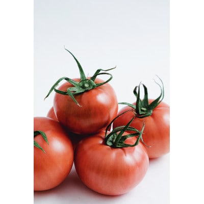 【さとふる限定】熊本県宇城市不知火町産　塩トマト