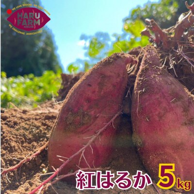HARUFARMの紅はるか　5kg