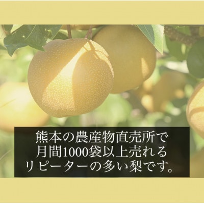 (訳あり品)濃あま梨1.8kg