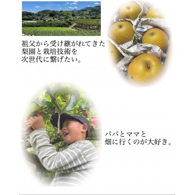 (最上級品)濃あま梨3kg