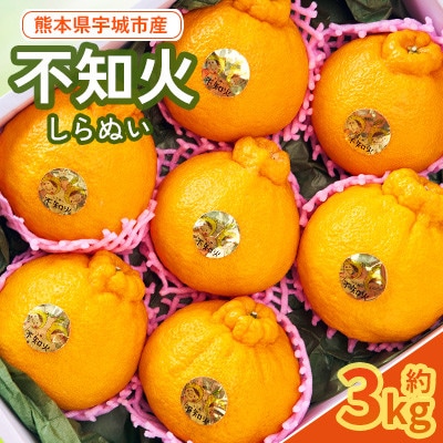 【先行予約!2026年2月下旬から2026年4月上旬発送】宇城市産 不知火 約3kg【坂下園】