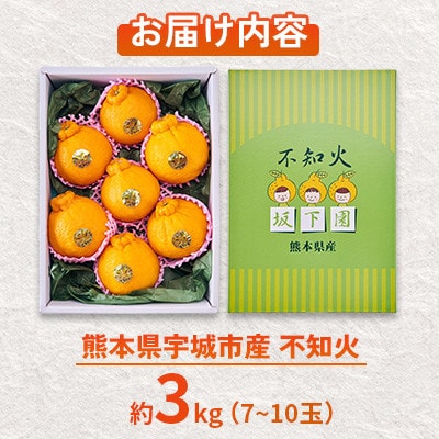 【先行予約!2026年2月下旬から2026年4月上旬発送】宇城市産 不知火 約3kg【坂下園】