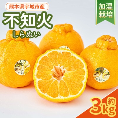 【加温栽培】2025年12月上旬から下旬発送予定!!宇城市産 不知火 約3kg【坂下園】