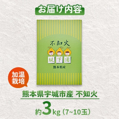 【加温栽培】2025年12月上旬から下旬発送予定!!宇城市産 不知火 約3kg【坂下園】