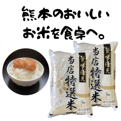 熊本県産森のくまさん　10kg