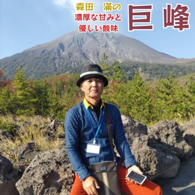 熊本県宇城市産 巨峰 2～3房 大粒 約1kg【森田滿】