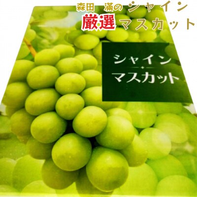 熊本県宇城市産 シャインマスカット 2～3房 約1kg【森田滿】