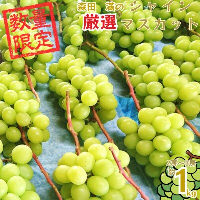 熊本県宇城市産 シャインマスカット 2～3房 約1kg【森田滿】