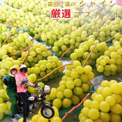 熊本県宇城市産 シャインマスカット 2～3房 約1kg【森田滿】