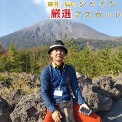 熊本県宇城市産 シャインマスカット 2～3房 約1kg【森田滿】