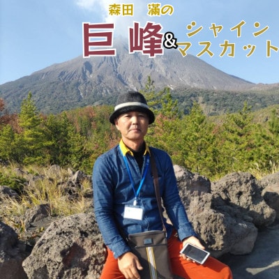熊本県宇城市産 巨峰&シャインマスカットのセット 約1kg【森田滿】
