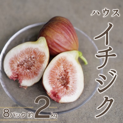 ハウスイチジク 約2kg 約250g×8パック 旬の果物いちじくをお届けします!!【宝ファーム】
