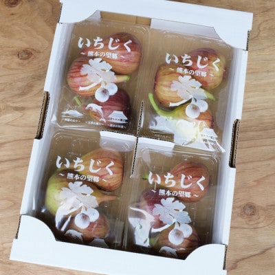 ハウスイチジク 約2kg 約250g×8パック 旬の果物いちじくをお届けします!!【宝ファーム】