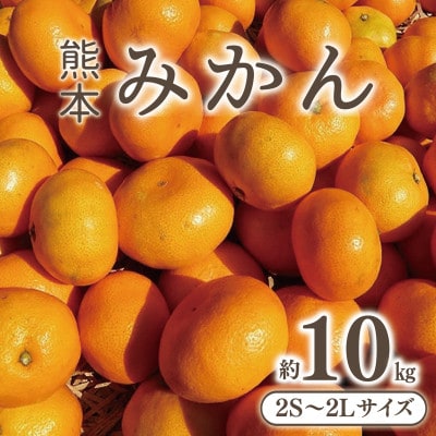 【 先行予約 】熊本みかん(2S～2L) 約10kg  【10月下旬～11月下旬発送予定】