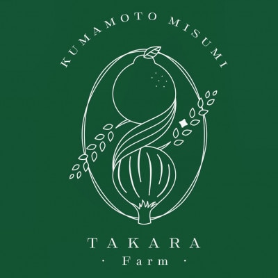 【 先行予約 】熊本みかん(2S～2L) 約10kg  【10月下旬～11月下旬発送予定】