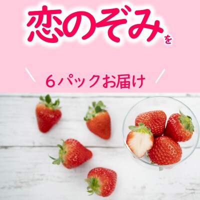 【 JA 熊本うき】いちご 恋のぞみ平詰め 250g×6パック