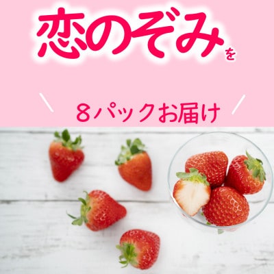 【 JA 熊本うき】いちご 恋のぞみ 250g×8パック