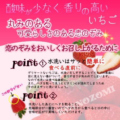 【 JA 熊本うき】いちご 恋のぞみ 250g×8パック