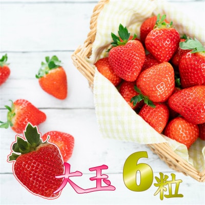 【 JA 熊本うき】いちご 恋のぞみ(ゆりかーご)大玉6粒
