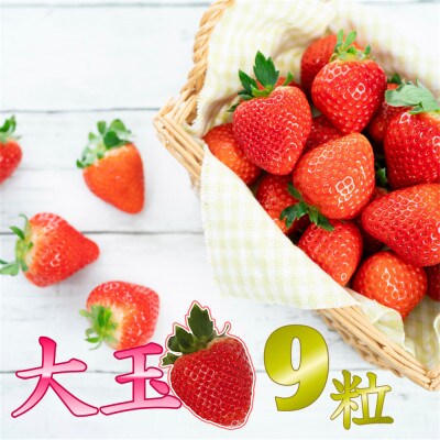 【 JA 熊本うき】いちご 恋のぞみ(ゆりかーご)大玉9粒