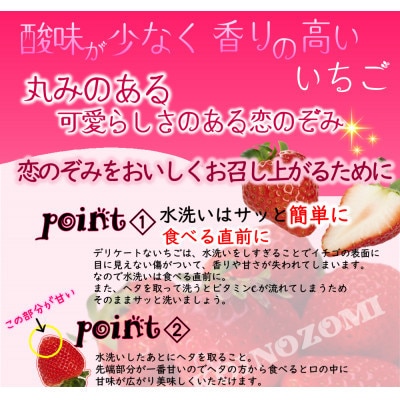 先行予約!2026年2月より順次発送 いちご 恋のぞみ約500g(250g×2P)【JA熊本うき】