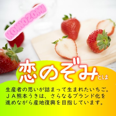 先行予約!2026年2月より順次発送 いちご 恋のぞみ約2kg(250g×8P)【JA熊本うき】