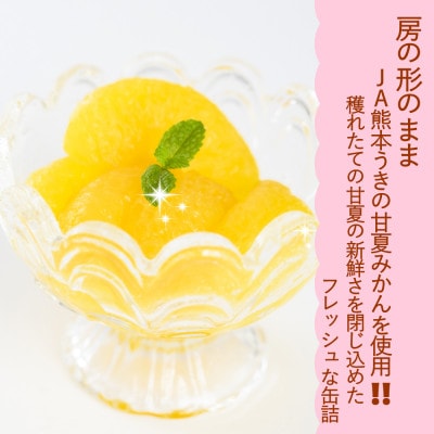 【 JA 熊本うき】≪数量限定≫ 三角特産 甘夏みかん缶詰 12缶入り★