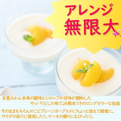 【 JA 熊本うき】≪数量限定≫ 三角特産 甘夏みかん缶詰 6缶入り★