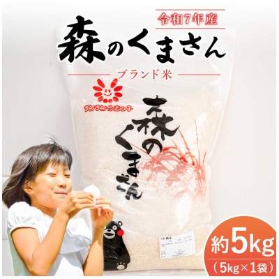 【 JA 熊本うき】令和7年産　新米　森のくまさん5kg★