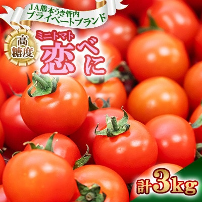【数量限定 期間限定】 JA熊本うき プライベートブランド 高糖度 ミニトマト 恋べに 計3kg