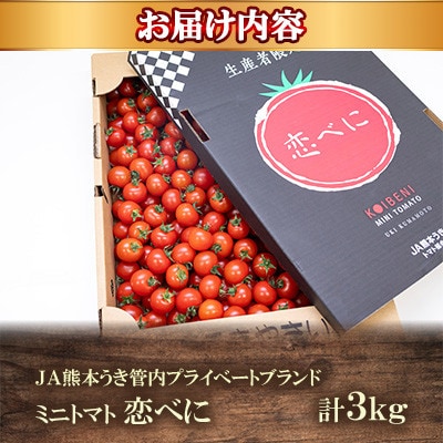 【数量限定 期間限定】 JA熊本うき プライベートブランド 高糖度 ミニトマト 恋べに 計3kg