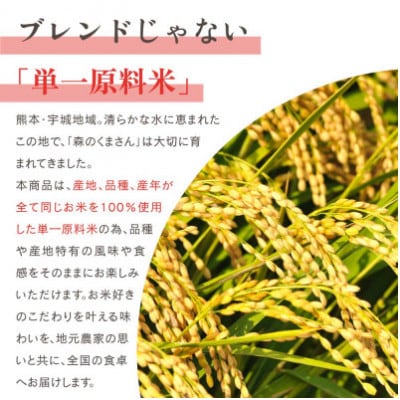 【令和8年産新米】　森のくまさん(精米)5kg　JA熊本うき