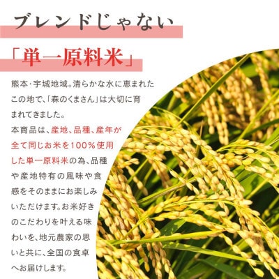 【令和8年産新米】　森のくまさん(精米)10kg　JA熊本うき