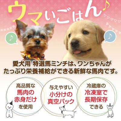 特選馬ミンチ　44パックセット　大阪馬肉屋　ワンちゃん大喜び