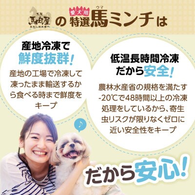 特選馬ミンチ　44パックセット　大阪馬肉屋　ワンちゃん大喜び