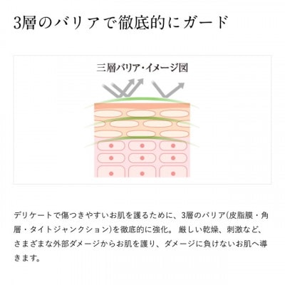 ドモホルンリンクル保護乳液(宇城市)