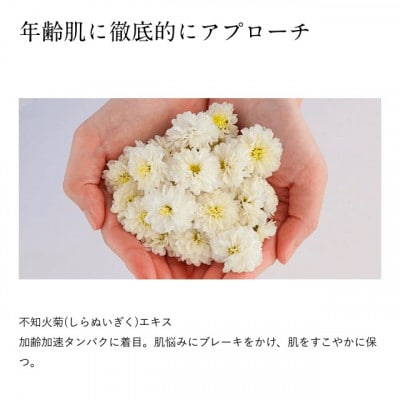 ドモホルンリンクル基本4点セット(宇城市)