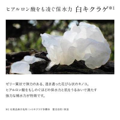 ドモホルンリンクル保湿液(宇城市)