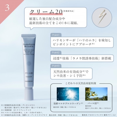 ドモホルンリンクル 基本4点セット(宇城市)