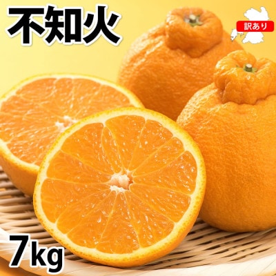 訳あり 不知火 みかん 計7kg 【2026年1月下旬から2026年4月下旬発送予定】(宇城市)