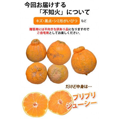 訳あり 不知火 みかん 計7kg 【2026年1月下旬から2026年4月下旬発送予定】(宇城市)