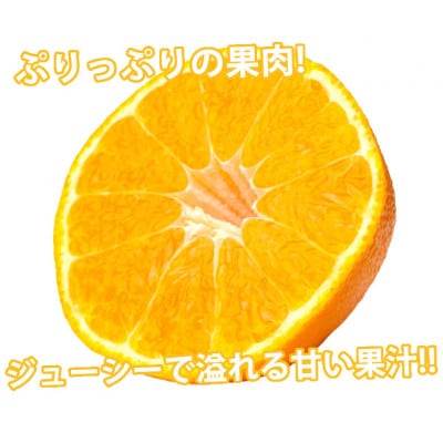 訳あり 不知火 みかん 計7kg 【2026年1月下旬から2026年4月下旬発送予定】(宇城市)