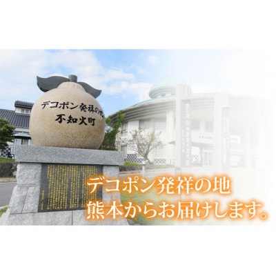 訳あり 不知火 みかん 計7kg 【2026年1月下旬から2026年4月下旬発送予定】(宇城市)